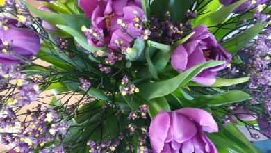 Leven met doodsangst voor beginners (4)